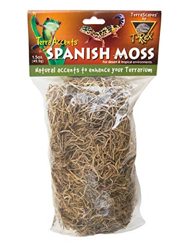 T-Rex Reptile Terrarium Décor - Terra Accents Spanish Moss