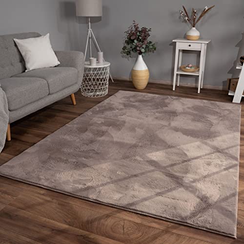 Wohnzimmer Teppich Hochflor Langflor Kunstfell Weich Modern Unifarben Flauschig, Farbe: Beige Taupe,...