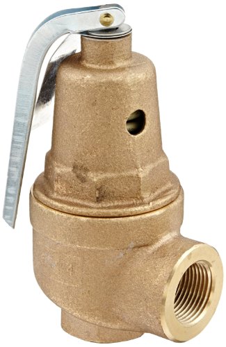 Apollo Valve 10-600 Series Bronze Safety Relief Valve, ASME Hot Water, 100 psi Set Pressure, 1