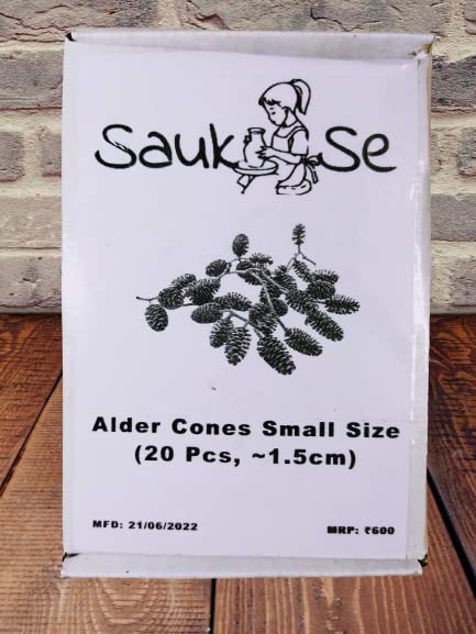 Generic Alder Cones for Shrimp & Betta Fish - Aquarium Water Treatment (20 Pieces, 1-1.5cm)