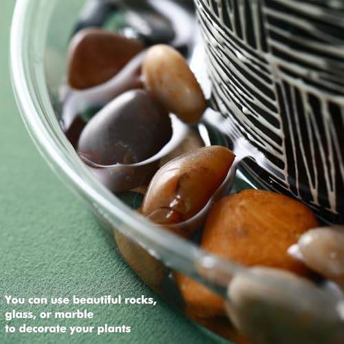 Lucpur PLANT SUCERS Saucer 20 Pack Plant Trays thumb #5