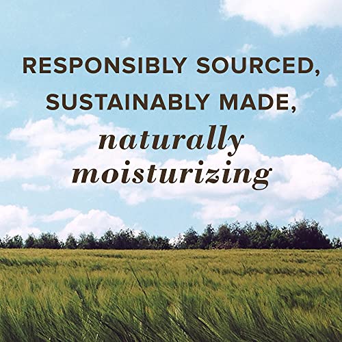 Burt's Bees Lip Balm, Rescue Lip Balm With Beeswax & Antioxidant-Rich Turmeric, Promotes Healing Of Extremely Dry Lips, Cooling Eucalyptus, All Natural (2 Pack) #TOP5