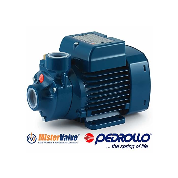 Buy Pedrollo Electric Water Pump PKm peripheral impeller PKm 60 0.5 HP