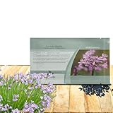 Outsidepride Society Garlic Seeds for Planting - 50 Pcs Perennial, Low Maintenance, Purple Flowers, Fresh for Herb Gardens, Culinary Use, Easy to Grow, Vibrant Blooms