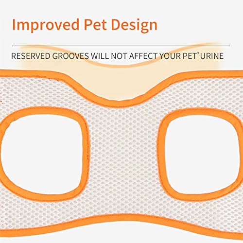 Rozkitch Dog Lift Harness, Pet Rear Support Aid Veterinarian Approved Sling For Old K9 Help With Poor Stability, Back Leg Hip Disabled Joint Injury Elderly And Arthritis Acl Rehabilitation Rehab #TOP2
