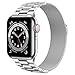 Wolait Stainless Steel Band Compatible with Apple Watch 49mm 45mm 44mm 42mm,Upgraded Metal Mesh Adjustable Magnetic Loop Replacement Bands for iWatch Series 8/7/6/5/4/3/SE,42/44/45/49mm Silver