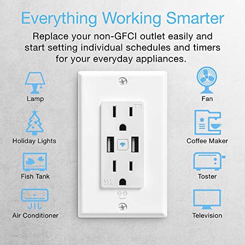 Image of Geeni 2-Port USB Speed Charger Wall Outlet: Dual USB & Power Outlets, Smart Charging Solution