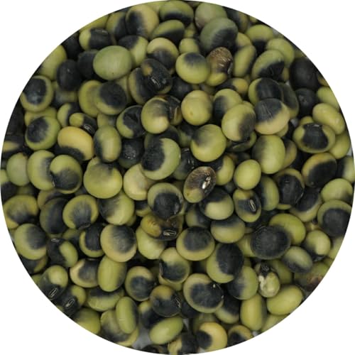 アメ横 大津屋 長野県産 鞍掛豆 海苔豆 くらかけ豆 くらかけまめ 青大豆 浸し豆 浸豆 200g