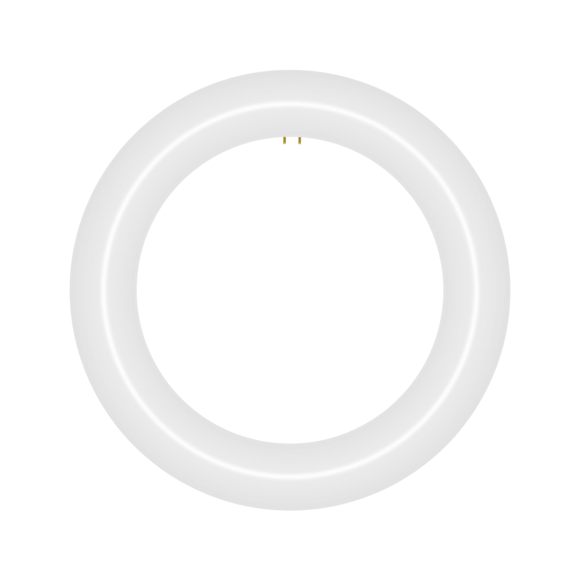 NYLL 8 inch T9 Circline Type A Plug & Play LED Lamp, Daylight (6000K) Direct Replacement for 22W FC8T9/D (Without Rewiring or Modification) Ballast Required!