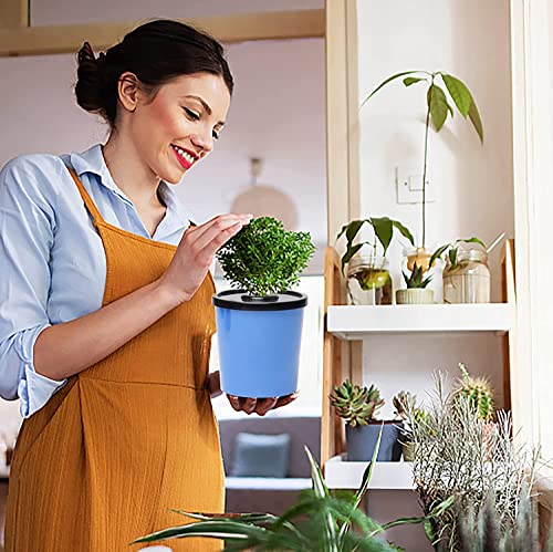 Colorful Hydroponic Planters Kit = 48 Growing Sponges + 6 Hydroponic Planters + Scissors, LAWNFUL Hydroponic Jars as Herb Growing Kit Indoor, Decorative Kitchen Window Vegetable Garden (Kratky Method) - Image 6