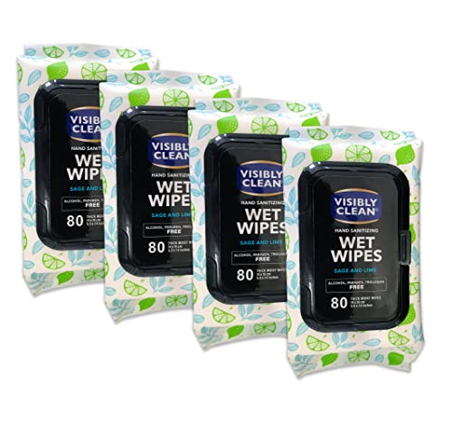 VISIBLY CLEAN BLUE SAGE AND LIME HAND SANITIZING Wet Wipes by Flex Beauty Labs, OUR SANITIZING WIPES are Alcohol-Free and Moisturizing (4 Packs of 80) (320 Total HAND Wipes)