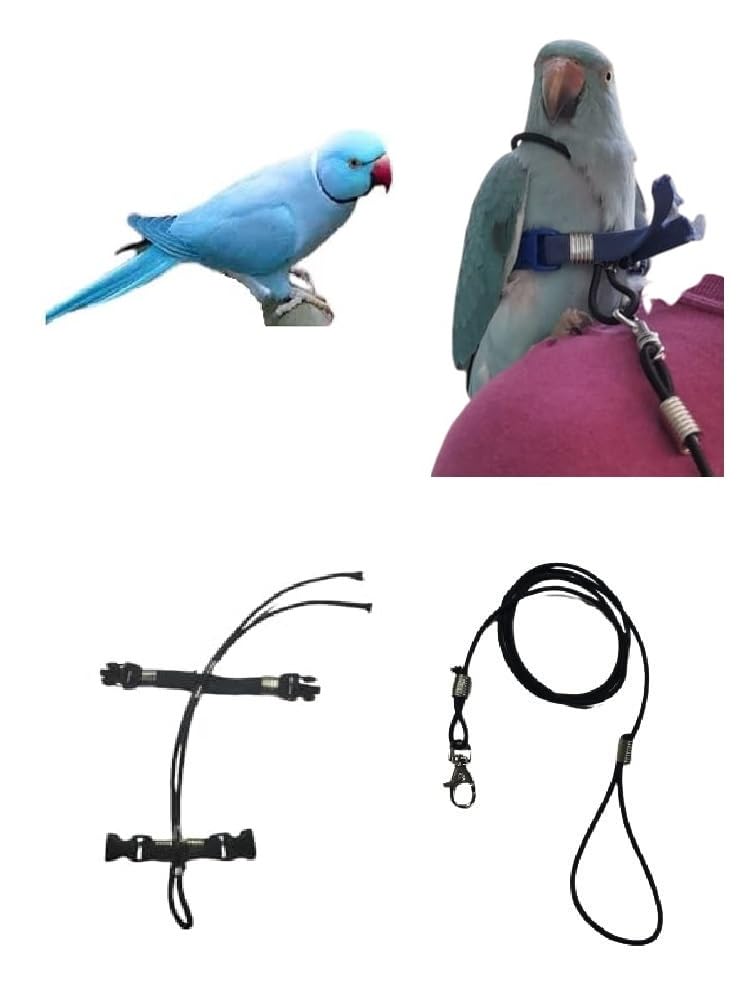 PETTORINA ELASTICA GIALLA PER PAPPAGALLI PARROCCHETTO DAL COLLARE,nastro 10mm, 2 attacchi,PLASTICA O METALLO SGANCIABILI REGOLABILI con GUINZAGLIO 1M x tutte le razze + amuleto
