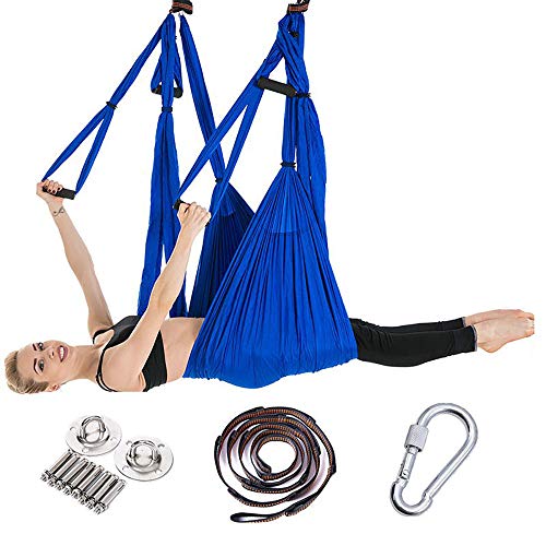 Trapeze Yoga Kit, Inversion Swing for Beginners & Kids & Adults, Antigravity Ceiling