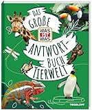 Tessloff Verlag Ragnar Tessloff GmbH & Co. KG