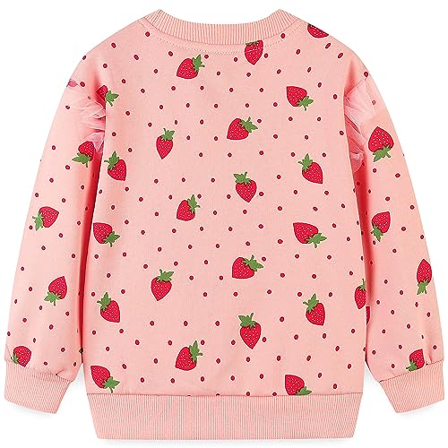 Image of Bumeex Girls Cotton Crewneck Cute Sweatshirts The Hedgehog and The Fox Pink 2-7T