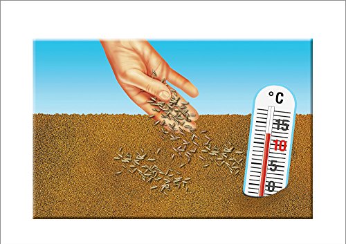 COMPO graszaad, spel en sport, universele grasmix 8 kg Graszaad, spel en sport. 11 x 35 x 64 cm geel - Afbeelding 5