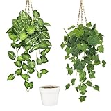 YMIFEEY 2 Stück Hängepflanze Künstlich im Topf Kunstpflanze Hängend, Künstliche Pflanzen Wie Echt Plastik Pflanze Hängepflanzen, Fake Plant für Zimmer Bad Regal Indoor Outdoor Deko (Taro-&Weinblätter)