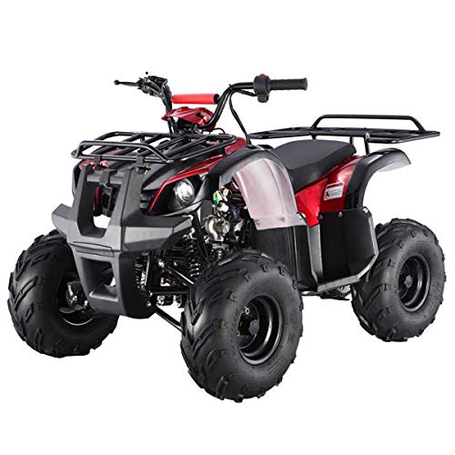 Model # 125D Fully Automatic with Reverse ATV Quad Kids ATV Youth ATV 4 Wheeler 125 ATV Quads?Burgundy Color