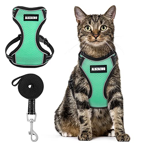 Top 10 Best Cat Harness For Walking Reviews & Buying Guide Katynel