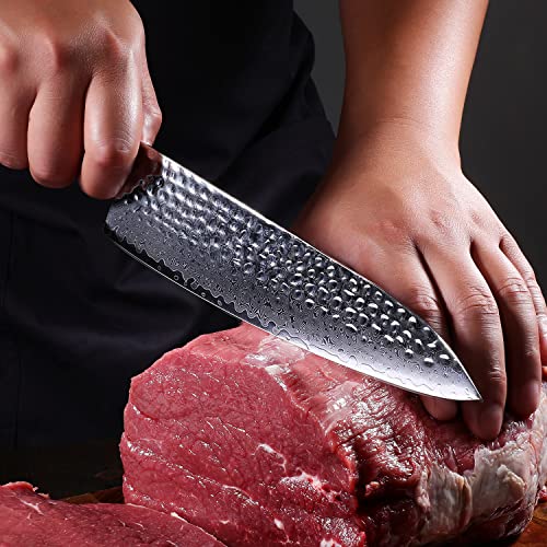 Image of 8 inch Damascus Chef Knife, Japanese 67 Layer 9CR18MOV Clad Steel Ultra Sharp kitchen Knife, Ergonomic Resin Handle Gyuto Sushi Knife,professional Chef's Knives with Sheath