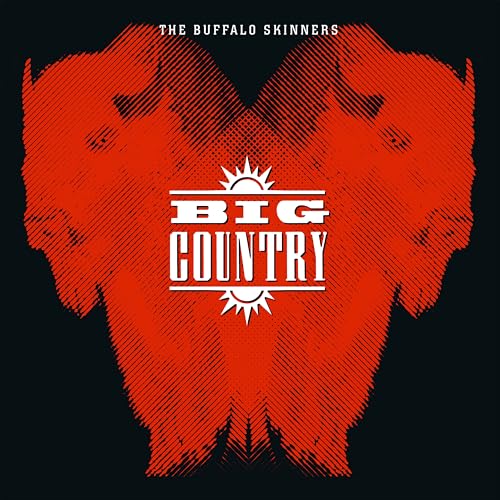 Buffalo Skinners