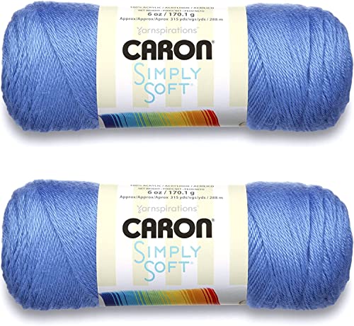 Image of Bulk Buy: Caron Simply Soft Yarn Solids (2-Pack) (Berry Blue)