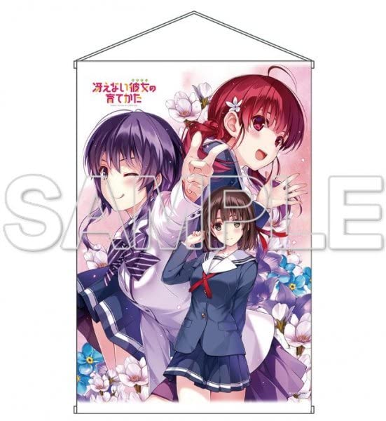 Amazon.co.jp: 正規品 ファンタジア文庫大感謝祭2015 冴えない