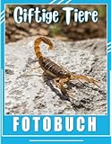  Giftige Tiere Fotobuch: Das giftigste Gifttier in 40 Abbildungen  Geschenke für Gag-Geschenke, Geburtstag, jede Gelegenheit zur Entspannung