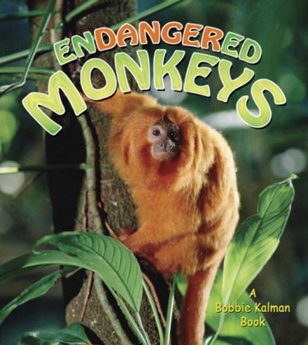Endangered Monkeys
