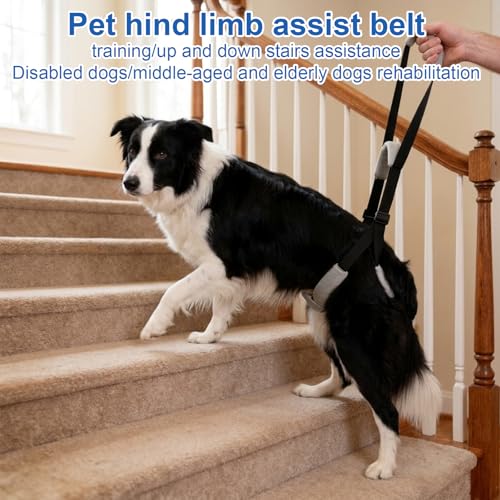 Dog Lifting Harness, Adjustable Assistance Dog Harness, Soft Dog Sling Hind Leg Support for Injured Disabled Senior Dogs Walking & Rehabilitation Aid - Image 6