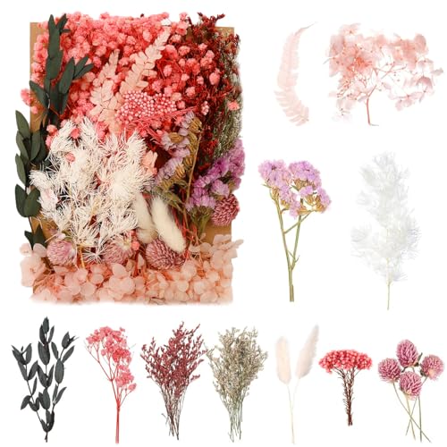 Bolosa Natural Dried Pressed Flowers and Leaves Set for DIY Crafts