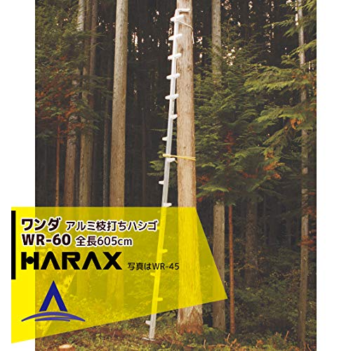 Amazon.co.jp: ハラックス ワンダ アルミ製枝打はしご WR-60 : 産業 