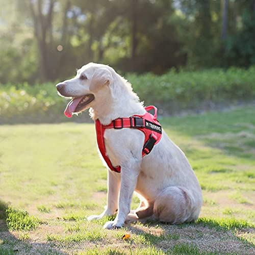 Dog Harness Personalized Name Phone Tags with Custom Patch, No Pull Pet Vest Easy Control for Walking Training for Small Medium and Large Breed(Red-XS)