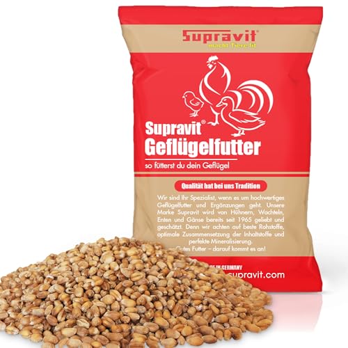 Supravit Weizen Futterweizen 25kg – Regionales Futtergetreide aus Deutscher Landwirtschaft | Premiuâ€¦ – Miniatur