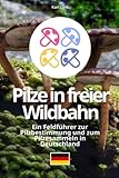  Pilze in freier Wildbahn: Ein Feldführer zur Pilzbestimmung und zum Pilzesammeln in Deutschland