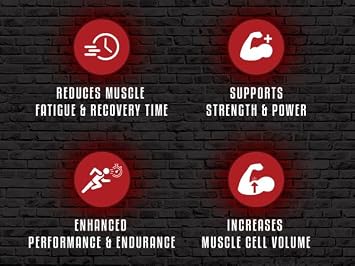 5% Nutrition Code Red Flavored Micronized Creatine Powder (Wildberry)