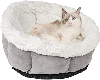 inexpensive cat beds