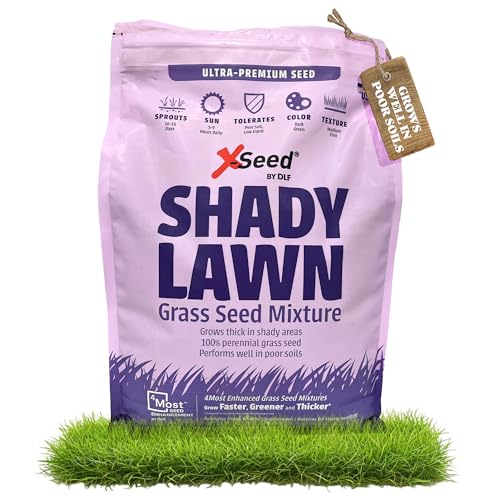 X-Seed Ultra Premium Shady Lawn Grass Seed Blend – Heavy Shade Grass Seed Mixture – Grows Thick...