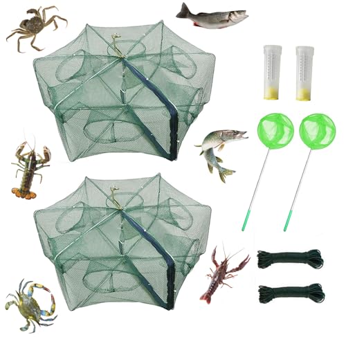 Piège à appâts Pliable pour crabes, écrevisses, ménés, crawdad crevettes et crevettes