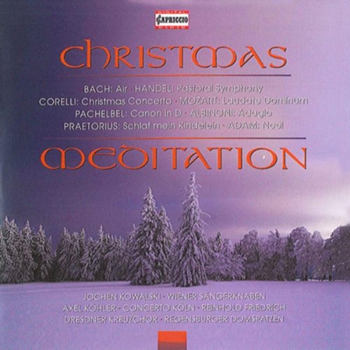 Concerto for Recorder and Flute in E Minor, TWV 52:e1: Double Concerto for Recorder and Flute in E Minor, TWV 52:e1: I. Largo