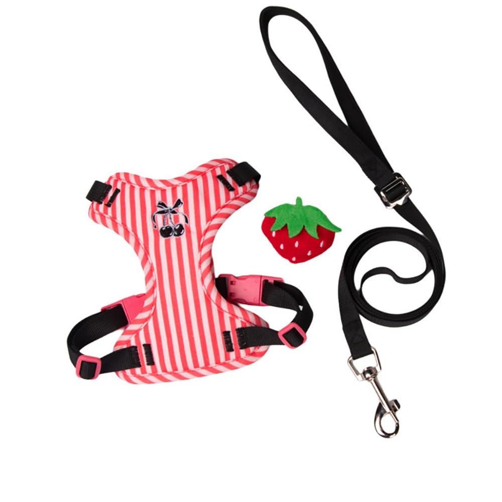 Set di pettorina e guinzaglio | Design leggero e regolabile in stile gilet con un fascino lussuoso(Black,Large)