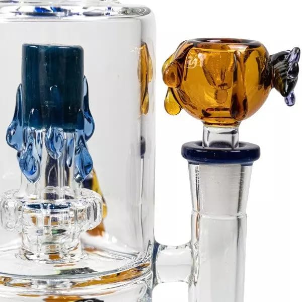 Calvo Glass | Pipa de Agua - Double Shower Honey Drips 35 Cm