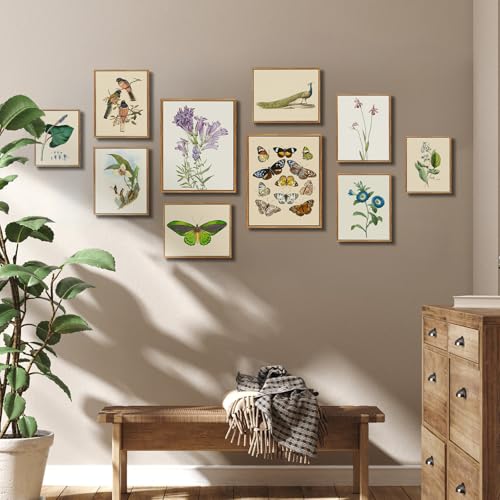 crmotu Butterfly Framed Wall Art, Nature Insect Vintage Canvas Prints Painting, Still Life Neutral Home Decorations, Rustic Aesthetic Pictures Wall Decor Living Room Bedroom Office Cottage, 16x24inch