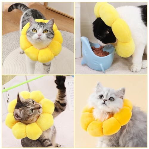 Wishstar Halskrause Katze Größen S, Leckschutz Katze, Weich Halskragen für Katzen Kleiner Hunde Nach Operation, Elisabethanischer Kragen, Sonnenblume Halskrause