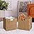 Vagusicc Wicker Baskets, Set of 2 Hand-Woven Storage Baskets for Shelves with Handles, Foldable Cube Wicker Storage Basket Bins Organizer 13 Inches Large Woven Baskets for Storage Organizing & Decor