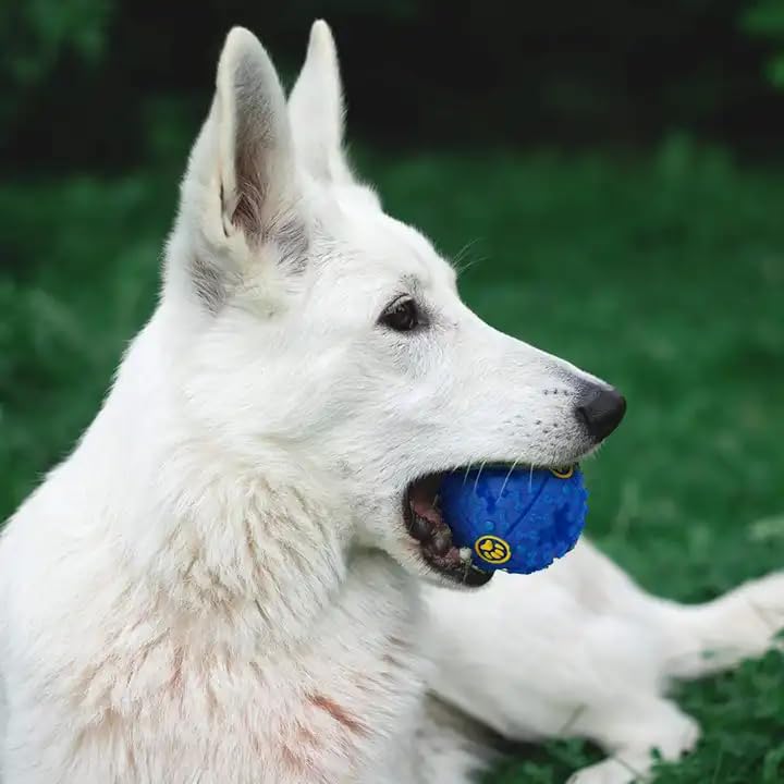 RvPaws Pet Meteorite Shape Dog Molar Cleaning Ball Toy, Interactive SoundBully Ball for Husky Golden Retriever Labrador Bulldog (Pack of 1) (B0CNYNY6LH) Amazon Price History, Amazon Price Tracker