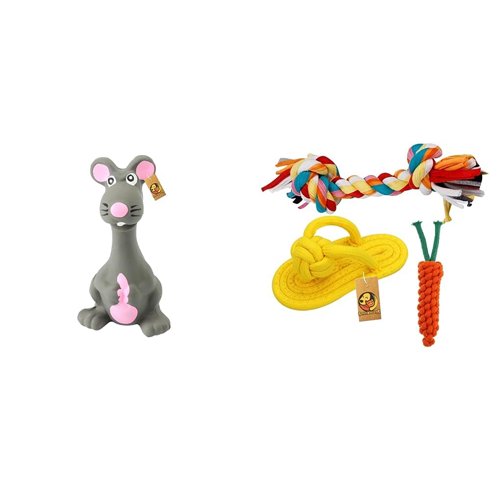Foodie Puppies Natural Latex Rubber Squeaky (Grey Mouse) Dog Toy | Suitable for Puppy, Cats, Kitten, X-Small to Small Dogs (0-10kgs) & Durable Cotton Mix Chewable Rope Teething Playing Toy (B0CDD3GG7Z) Amazon Price History, Amazon Price Tracker