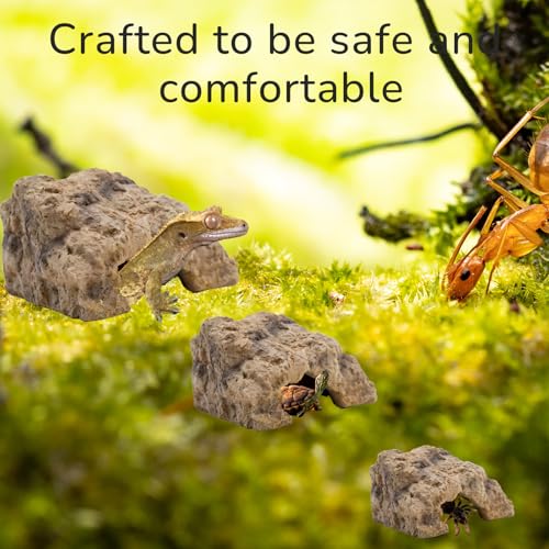 Repticircle Reptile Hide for Leopard Gecko,Bearded Dragon,Ball Python & Tortoise – Terrarium Habitat Décor, Snake & Lizard Hideout (Resin, Small)