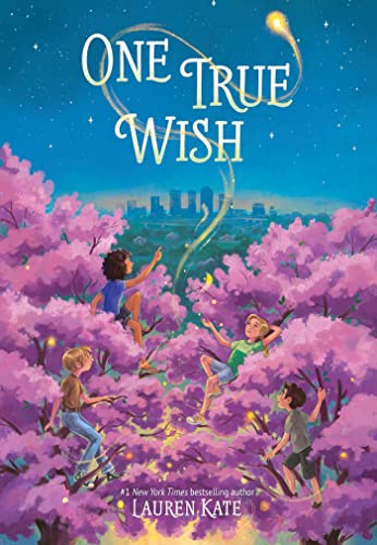 Cover of One True Wish