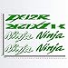 Kit d'autocollants compatibles Kawasaka Ninja ZX-12R ZX12R moto Decal code 1158 (064 vert citron